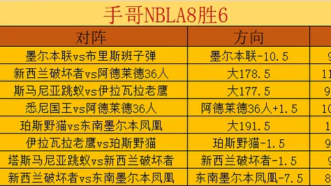 新北国王对台湾啤酒云豹：晚场情报及专家推荐分析